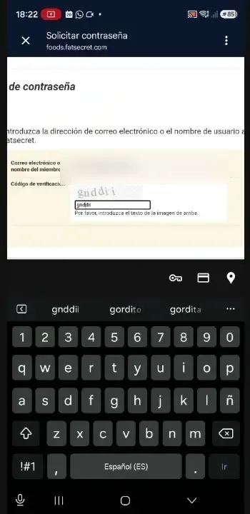 Recuperar contraseña con captcha